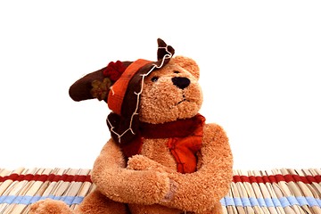 Image showing Autumn colored teddy bear