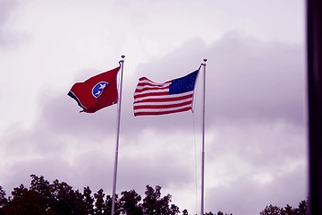 Image showing US flags flying