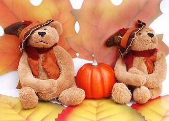 Image showing Halloween teddy bears