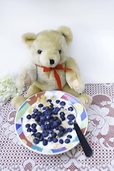Image showing Teddy bear eating blueberries