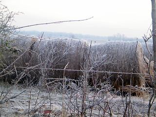 Image showing Snow on hay stacks