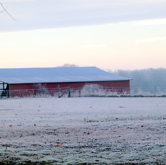 Image showing Winter morning on barn