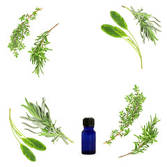 Image showing Aromatherapy Herb Selection