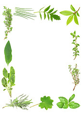 Image showing Culinary and Medicinal Herbs