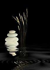 Image showing Zen Harmony