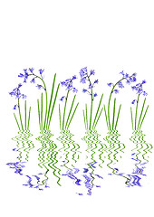 Image showing Abstract Spring Bluebells