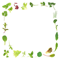 Image showing Herb and Lettuce Leaf Border