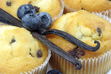 Image showing Blueberry muffins