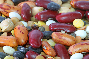 Image showing Legumes