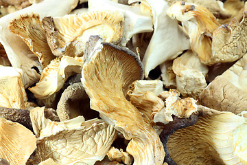 Image showing Asia mushrooms