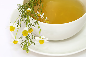 Image showing Camomile tea