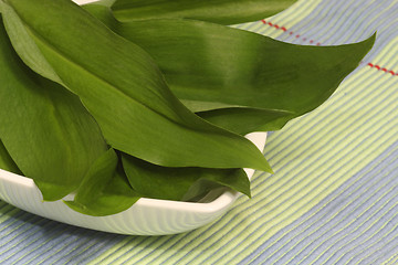 Image showing Wild garlic