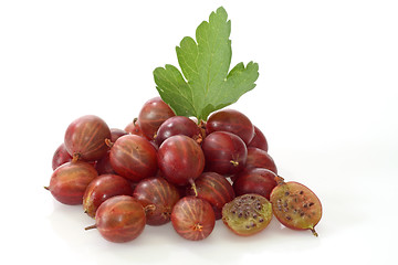 Image showing Gooseberry