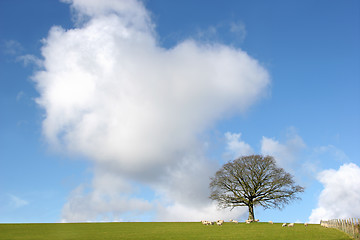 Image showing Winter Landscape Scene