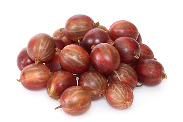 Image showing Gooseberry