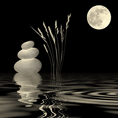 Image showing Golden Moonlight