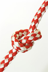 Image showing Rope with knot