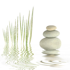 Image showing Pebbles and Bamboo Grasses