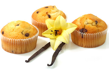 Image showing Vanilla muffins