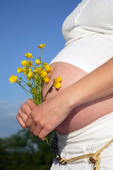 Image showing Natural Pregnancy