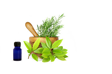 Image showing Rosemary and Bay Essential Herbs