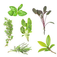 Image showing Organic Herb Selection
