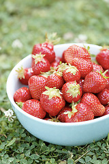 Image showing Fresh strawberries in a bowl.