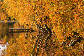 Image showing Colourful Autum  by Lake