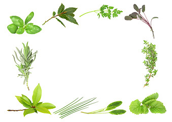 Image showing Fresh Scented Herbs