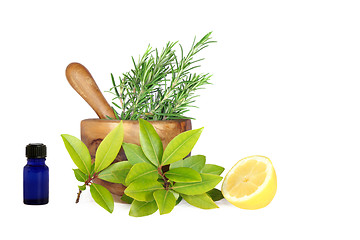 Image showing Fresh Lemon amd Herbs