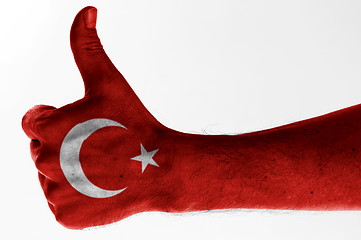 Image showing thumb up turkey