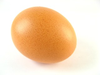 Image showing Egg