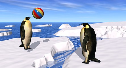 Image showing Penguins Playing