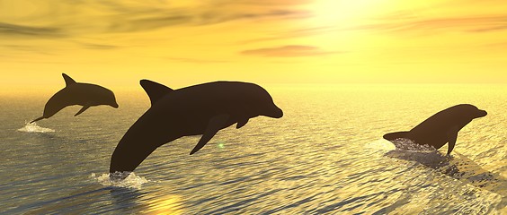 Image showing Dolphins at Sunset