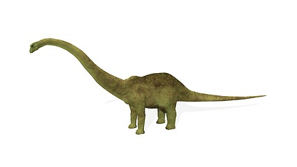 Image showing Diplodocus