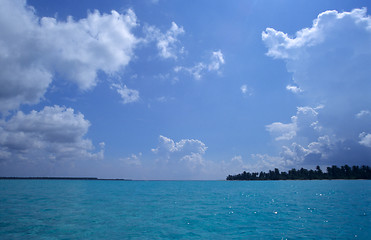 Image showing Saona island blue lagoon -Dominican republic