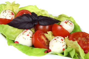 Image showing Mozzarella salad