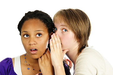 Image showing Two girlfriends gossiping