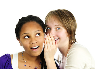 Image showing Two girlfriends whispering