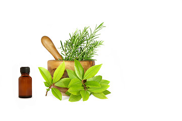 Image showing Rosemary and Bay Leaf Herbs