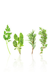 Image showing Parsley, Rosemary, Sage and Thyme