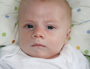 Image showing Baby