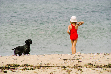 Image showing The girl plays with a dog on a beach