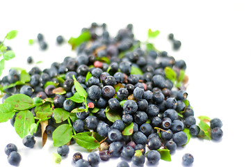 Image showing Blueberry