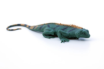 Image showing Rubber Lizard