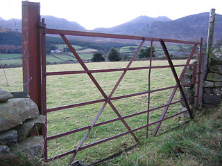 Image showing Country gate Ireland