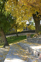 Image showing Trees in the Baseball Park