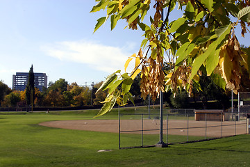 Image showing Baseball Field with Leaves in Focus
