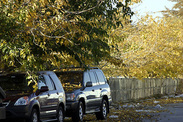 Image showing Two Cars under the Trees