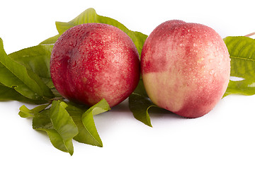 Image showing Peach